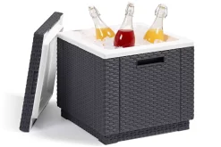 Allibert Bijzettafel/Koelbox Cube (42X42 Cm)