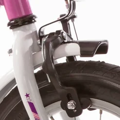 Bachtenkirch My Bonnie Kinderfiets 16 Inch Roze