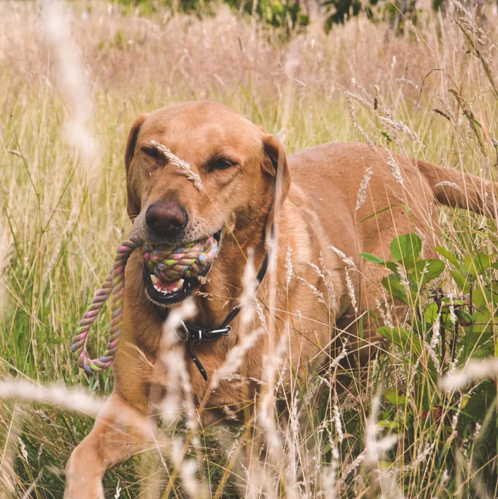 New Beco Hondenspeelgoed Hennep Touwbal M (6,5X26 Cm)