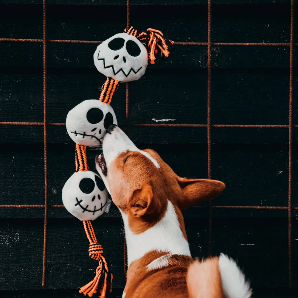 Sale Beeztees Hondenspeeltje Halloween Spookjesballen Touw(56Cm)