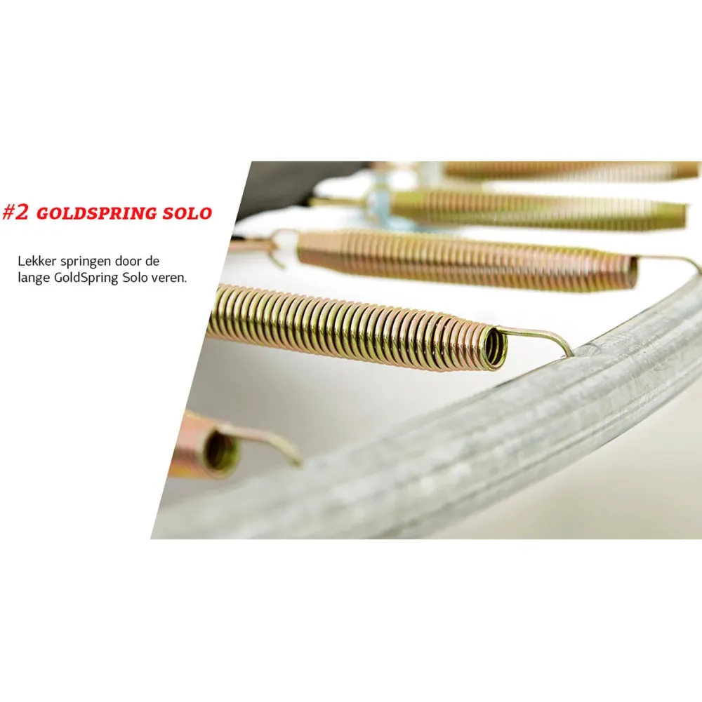 BERG Favorit Inground Trampoline O200 Cm