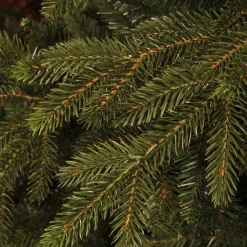 Black Box Trees Kerstboom Macallan (H185 X O127 Cm)