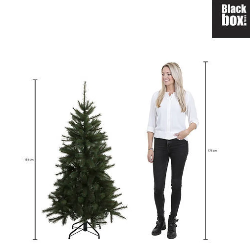 Online Black Box Trees Kerstboom Toronto (H155 X O102 Cm)