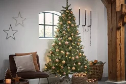 Online Black Box Trees Kerstboom Toronto (H155 X O102 Cm)