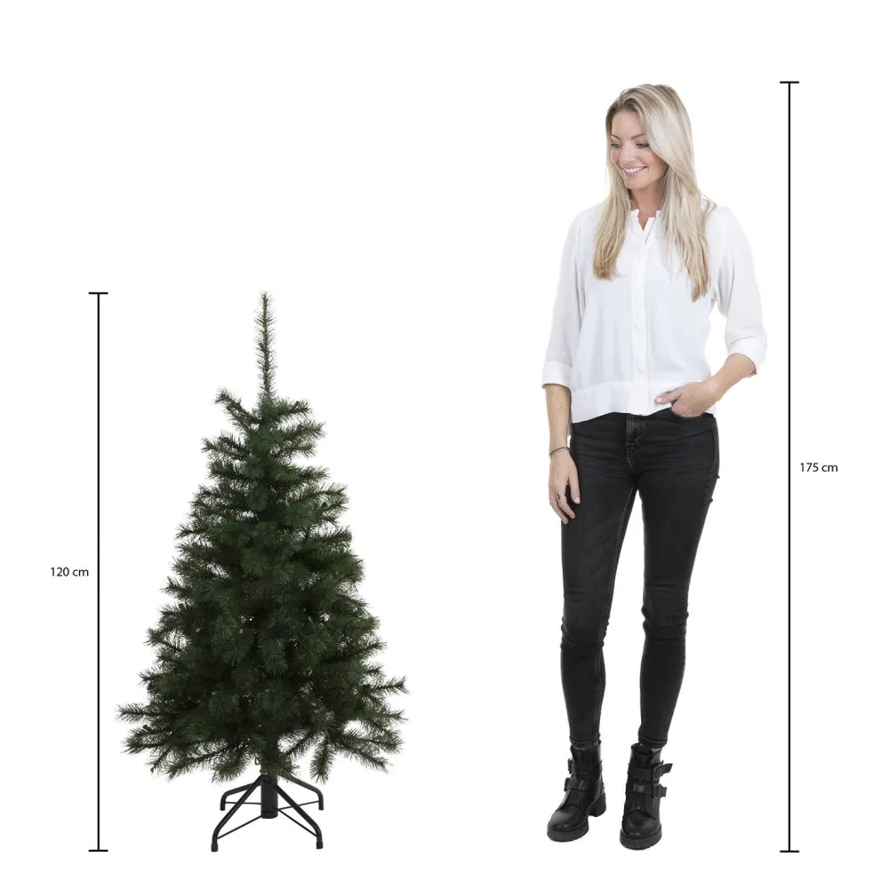 Hot Black Box Trees Kerstboom Brampton (H120Xo91 Cm)