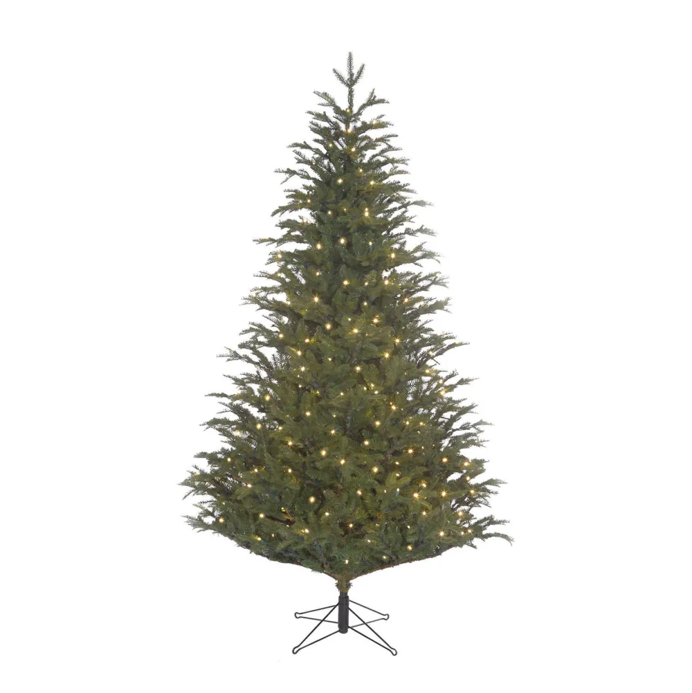 Outlet Black Box Trees Verlichte Kerstboom Frasier (H185 X O124 Cm)
