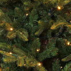 Outlet Black Box Trees Verlichte Kerstboom Frasier (H185 X O124 Cm)