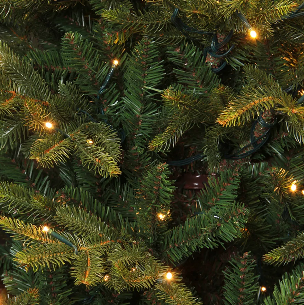 Outlet Black Box Trees Verlichte Kerstboom Frasier (H185 X O124 Cm)