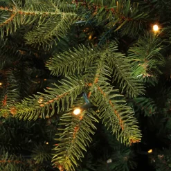 Outlet Black Box Trees Verlichte Kerstboom Frasier (H185 X O124 Cm)