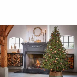 Outlet Black Box Trees Verlichte Kerstboom Frasier (H185 X O124 Cm)