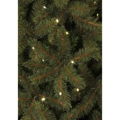 Discount Black Box Trees Verlichte Kerstboom Toronto (H185Xo114 Cm)
