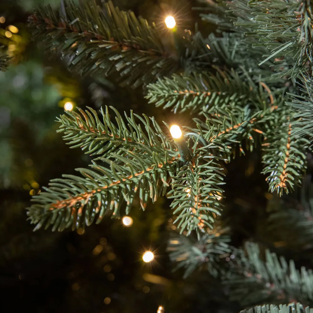 Online Black Box Trees Verlichte Kerstboom Elkins (H185 X O104 Cm)