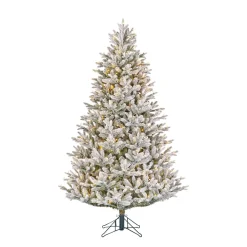 Hot Black Box Trees Verlichte Kerstboom Frasier (H215 X O145Cm)