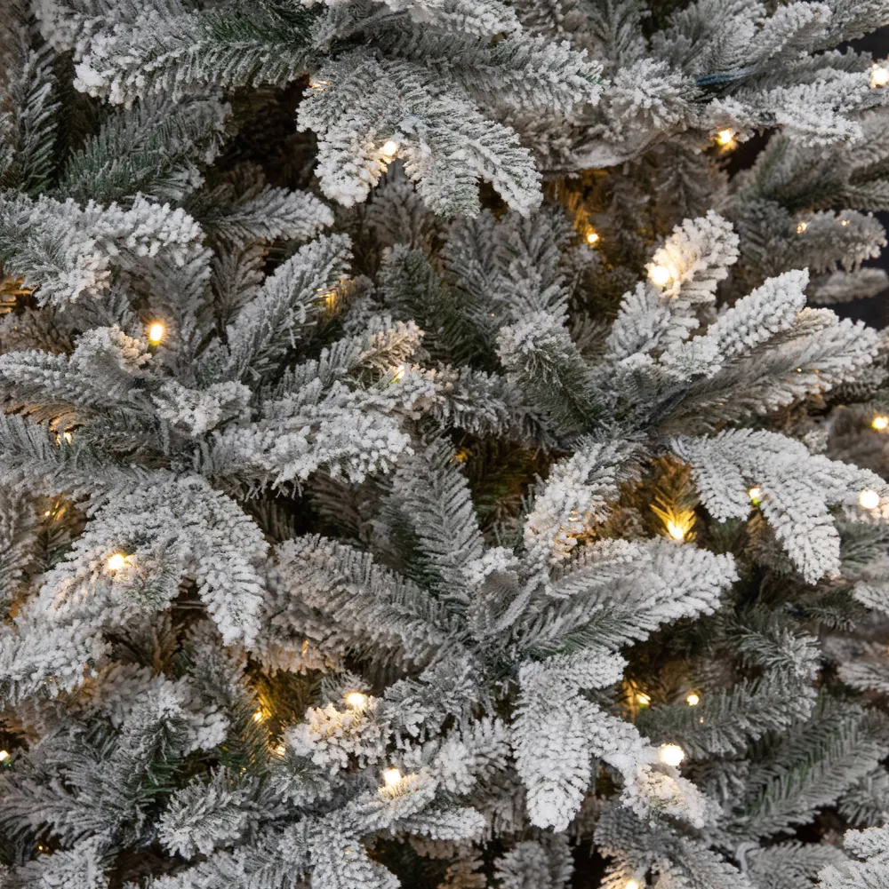 Hot Black Box Trees Verlichte Kerstboom Frasier (H215 X O145Cm)