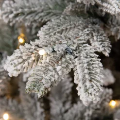 Best Black Box Trees Verlichte Kerstboom Frasier (H185 X O124Cm)