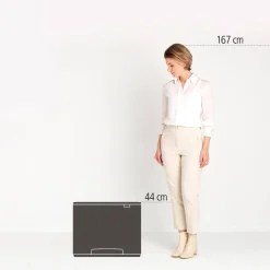 Brabantia Bo Pedaalemmer (3X11L)