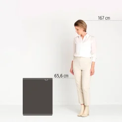 Sale Brabantia Bo Touch Bin Prullenbak (2X30L) (Afvalscheiding)