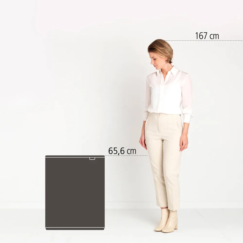 Sale Brabantia Bo Touch Bin Prullenbak (2X30L) (Afvalscheiding)