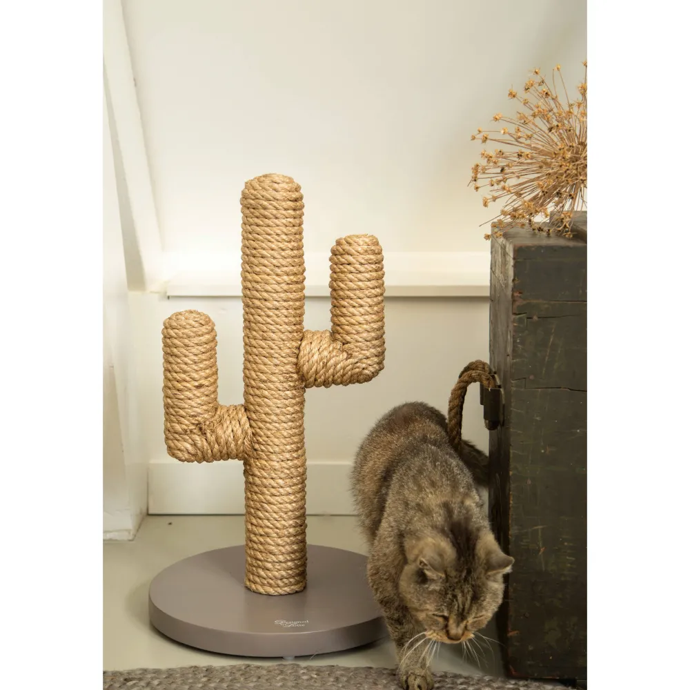 Clearance Designed by Lotte Cactus - Krabpaal -Taupe - 35X35X60Cm