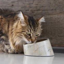 Designed by Lotte Kattenvoerbak Vita 160 Ml Beige