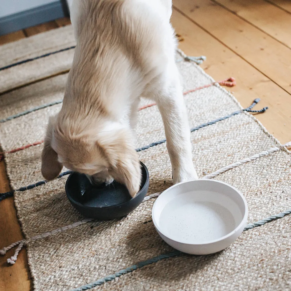 District 70 Bamboo Hond Voerbak - L - Merengue