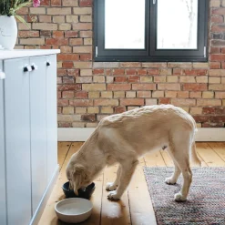 District 70 Bamboo Hond Voerbak - L - Merengue