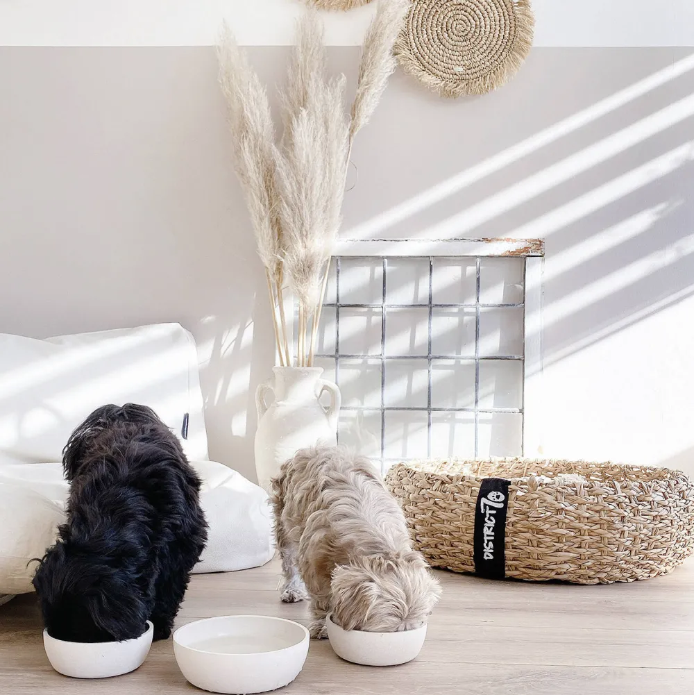 Best District 70 Bamboo Voerbak Hond/Kat - S - Merengue