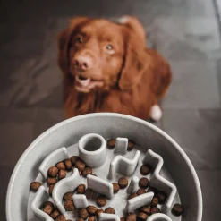 Best District 70 Hondenvoerbak Bamboo Dog Slow Feeder - O 21 Cm - Merengue