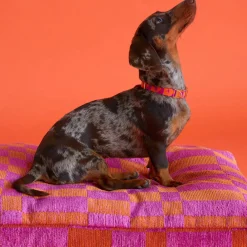 Best Dogguo Hondenkussen Jacquard Blok Patroon Oranje En Magenta Maat L
