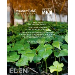 Sale it's about RoMi Wandlamp Bremen