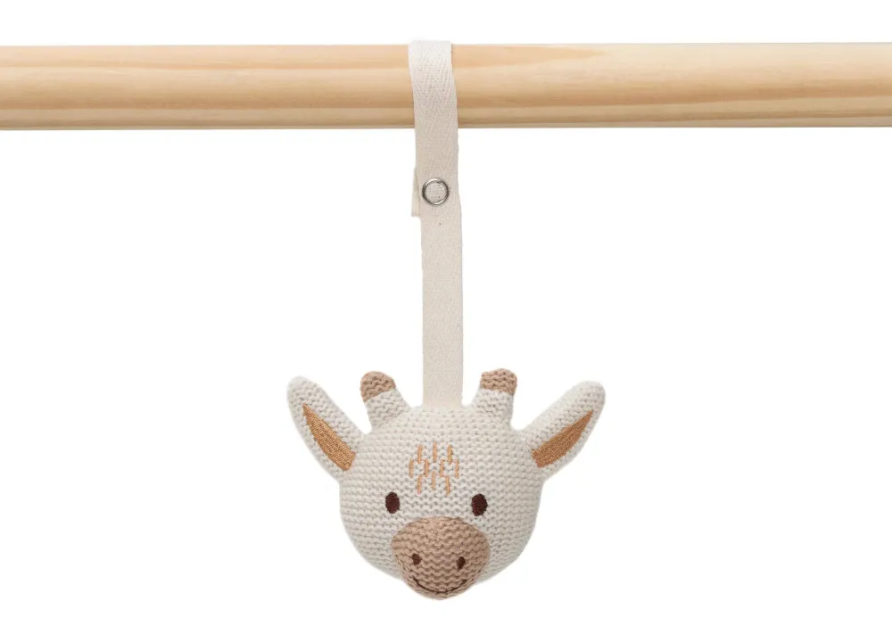 Jollein Speeltjes Voor De Babygym Animals