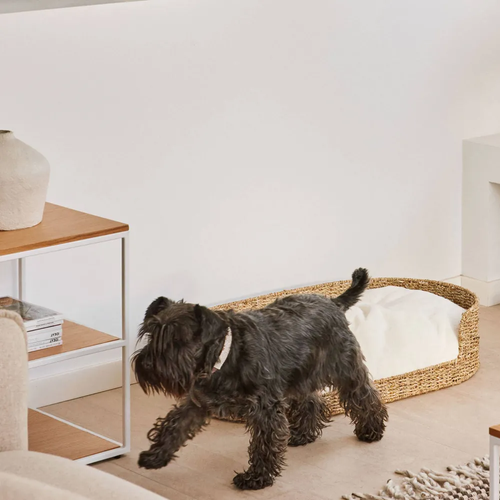 Outlet Kave Home Hondenkussen Codie O 80 X 50 Cm