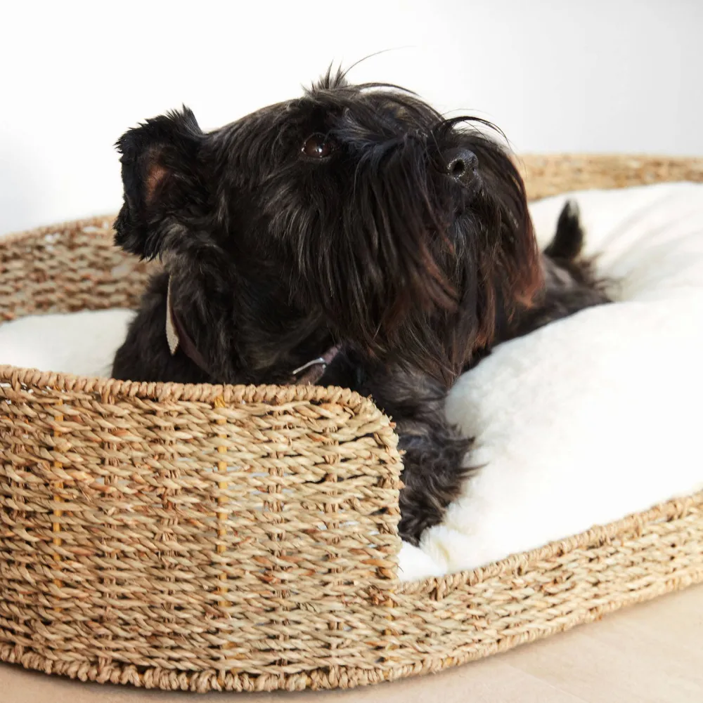 Outlet Kave Home Hondenkussen Codie O 80 X 50 Cm