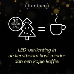 Best Lumineo Verlichtingssnoer Kerst Cluster (1128 Led)