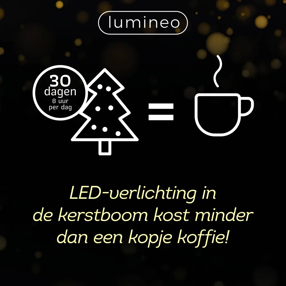 Best Lumineo Verlichtingssnoer Kerst Cluster (1128 Led)