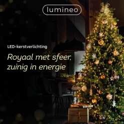 Online Lumineo Verlichtingssnoer Kerst Cluster (1128 Led)