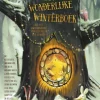 wehkamp Marianne Busser, Lisa Manuels, Iris Boter, E.A. Het Wonderlijke Winterboek