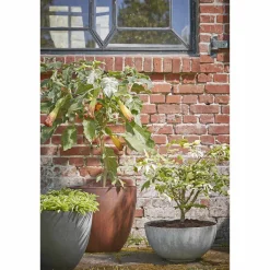 Mica Decorations Bloempot Bravo (O55 Cm)