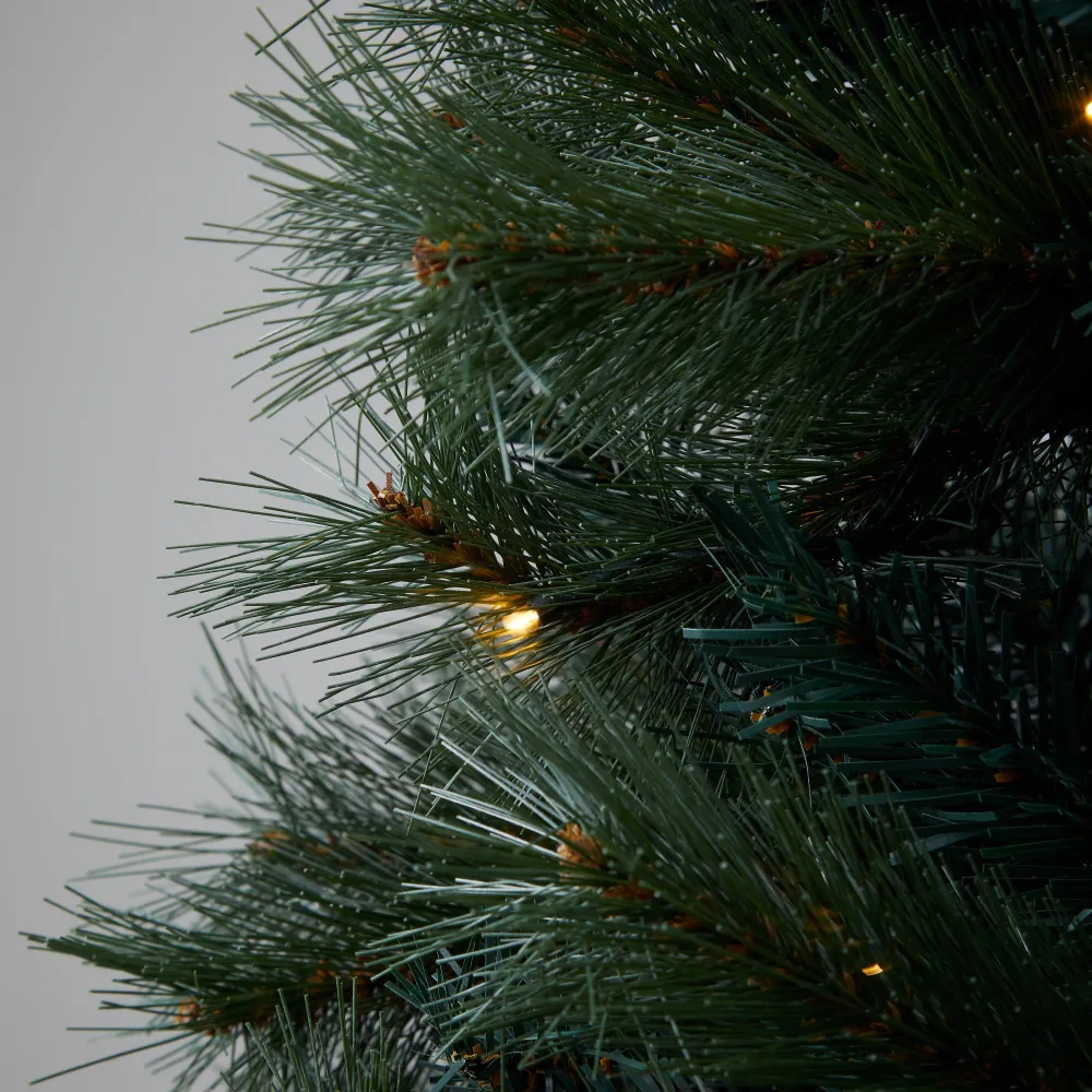 Outlet Nova Belle Verlichte Kerstboom Scotch Pine (H230 X O125 Cm)