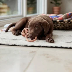 OYOY ZOO Hondenspeeltje Otto (22 Cm)