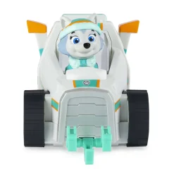 Paw Patrol Voertuig Met Pup Everest