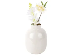 Online Present Time Vaas Mila