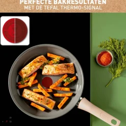 Best Tefal Revive Koekenpan (O20 Cm)