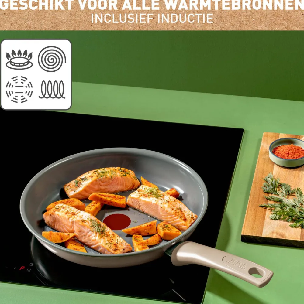 Online Tefal Revive Koekenpan (O28 Cm)