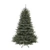 Hot Triumph Tree Kerstboom Forest Frosted (H120 X O99 Cm)