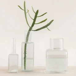 Sale Urban Nature Culture Vaas Veli