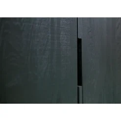 Clearance WOOOD Exclusive 2-Deurs Kast Silas